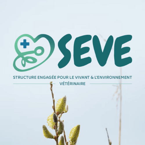 Logo-Seve